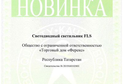 Новинка года - светильник FLS